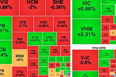 LPB lập đỉnh lịch sử, VN-Index tăng gần 9 điểm sau phiên rung lắc mạnh