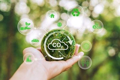 92 doanh nghiệp được cấp hơn 511 triệu tấn CO2e, sàn carbon Việt Nam chuẩn bị giao dịch