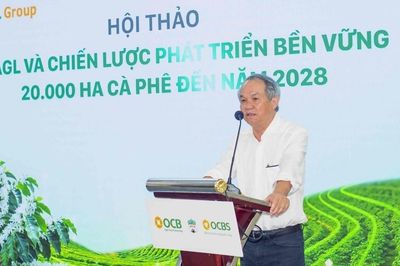 Bầu Đức đăng ký mua thêm 4 triệu cổ phiếu HAG