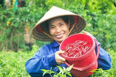 Hành trình phát triển cây ớt xuất khẩu - Bài 1