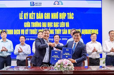 Hạt nhân kết nối sáng tạo