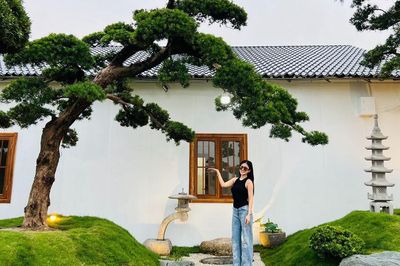 3 cây cảnh trồng càng lâu càng quý: Không nên chặt cũng đừng tùy tiện mang cho