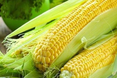 Bất ngờ 10 thực phẩm bình dân lại được chuyên gia đánh giá cao về chống lão hóa