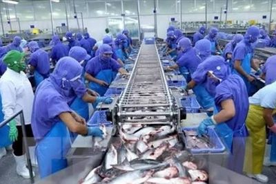 Doanh thu tháng 5 của Vĩnh Hoàn tăng mạnh nhờ cá tra và sản phẩm phụ