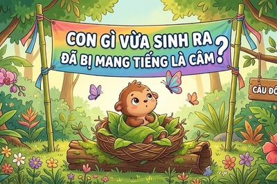 Con gì vừa sinh ra đã mang tiếng là 'không biết nói'?