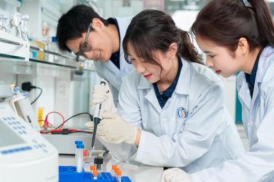 Một trường đại học Việt Nam bứt phá trong xếp hạng phát triển bền vững