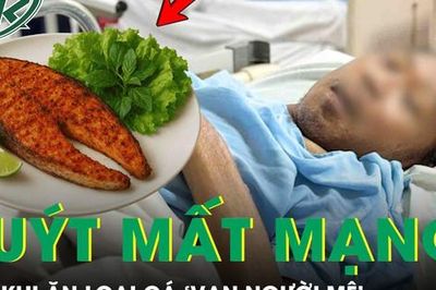 Người đàn ông 48 tuổi suýt mất mạng sau khi ăn loại cá 'vạn người mê'
