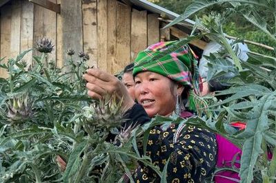 Xứng tầm y học Việt