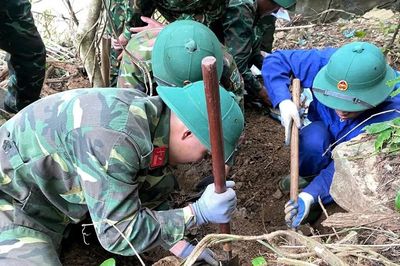 Đến hết năm 2026, quyết tâm tìm kiếm, quy tập khoảng 3.000 hài cốt liệt sĩ