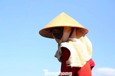 Cảnh người lao động 'đốt sức' giữa trời nắng đỉnh điểm