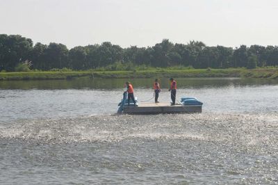 Doanh nghiệp thủy sản 'đứng ngồi không yên'