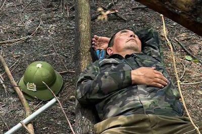 Bức ảnh kiểm lâm ngủ giữa tro tàn sau cháy rừng gây xúc động