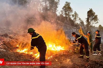Cháy rừng trên diện rộng, gần 30.000 khách hàng mất điện