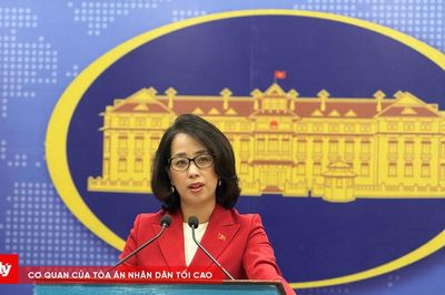 Tin mới nhất về vụ bà Trần Tố Nga kiện 14 tập đoàn hóa chất Mỹ