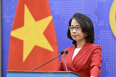 Việt Nam lên tiếng về vụ kiện chất độc da cam của bà Trần Tố Nga tại Pháp