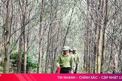 Tín hiệu vui từ lâm phần từng là điểm 'nóng'