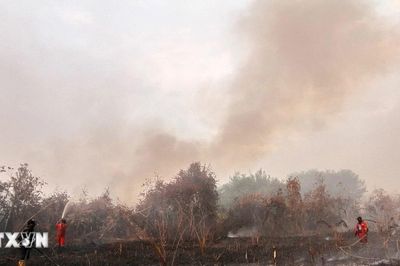 Khói bụi xuyên biên giới có thể bùng phát nghiêm trọng tại Đông Nam Á