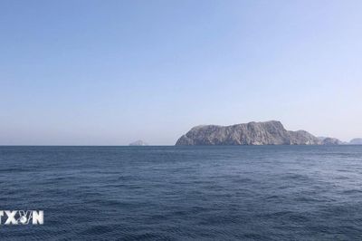 Tổng thống Trump sẽ không chấp nhận việc Iran thu phí tại eo biển Hormuz