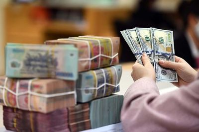 Dùng sai mục đích vốn từ lô trái phiếu 1.300 tỷ đồng, Nam Rạch Chiếc bị phạt 175 triệu đồng