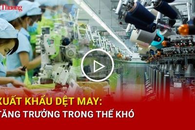 Xuất khẩu dệt may: Tăng trưởng trong thế khó