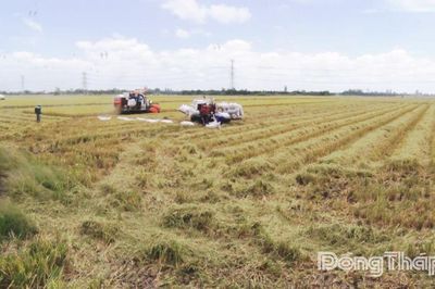 Xã Hậu Mỹ: Nỗ lực bứt phá phát triển kinh tế - xã hội