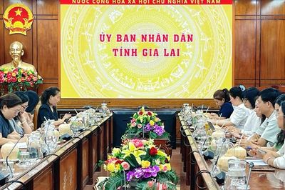 Gia Lai sẽ phối hợp hỗ trợ phụ nữ mang thai có hoàn cảnh khó khăn