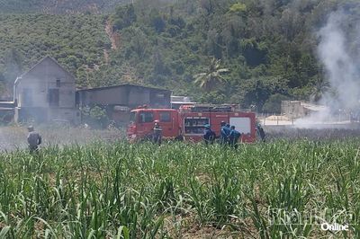 Khống chế kịp thời vụ cháy tại khu vực ruộng mía xã Suối Dầu