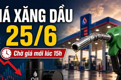 Giá xăng dầu hôm nay 25/6: Dầu thế giới giảm mạnh
