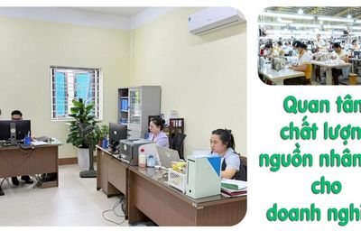 Quan tâm chất lượng nguồn nhân lực cho doanh nghiệp