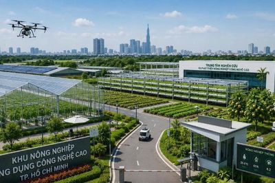 Quy hoạch 7 khu nông nghiệp công nghệ cao hơn 1.700ha tại TP.HCM