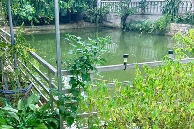 Nghệ An: Hai anh em ruột tử vong thương tâm dưới ao nước gần nhà