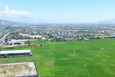 Đà Nẵng đấu giá 298.575m2 đất làm chợ đầu mối Hòa Phước