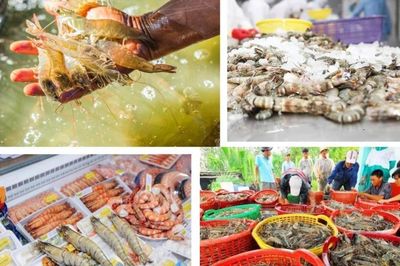 Nguồn cung nông sản dồi dào, giá cả cơ bản ổn định trong nửa đầu năm 2026