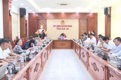 Gia Lai: Hoàn thiện đề án du lịch sinh thái gắn với bảo tồn tài nguyên thiên nhiên, phát triển bền vững.