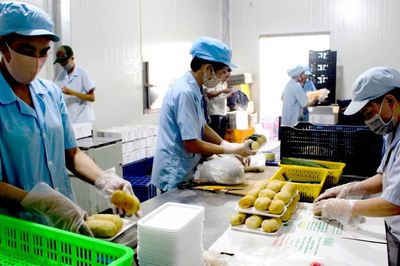 Làm gì để không còn nghịch lý doanh nghiệp... xin rút hồ sơ nhận hỗ trợ?