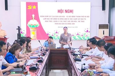 Giám sát công tác khai thác quản lý các thiết chế văn hóa