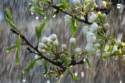 Thời tiết ngày 25/6: Miền Bắc nắng nóng ban ngày, chiều tối mưa dông diện rộng