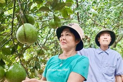 Sản xuất nông nghiệp hàng hóa gắn với nhu cầu thị trường