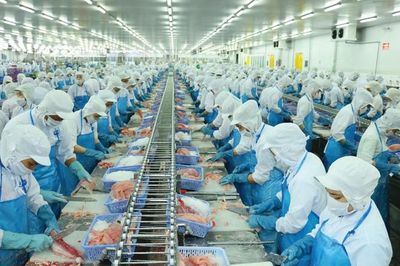 Cổ phiếu VHC được kỳ vọng tăng 5%