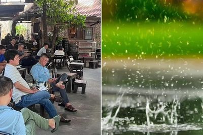 Hàng quán mở tiếng mưa, tiếng chim thay nhạc: Có phải lo chuyện bản quyền?