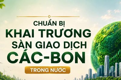 Sắp khai trương sàn giao dịch các-bon trong nước