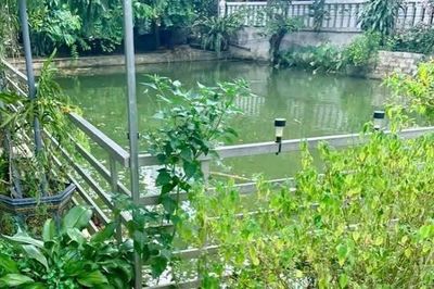 Thương tâm hai chị em ruột đuối nước dưới ao cạnh nhà
