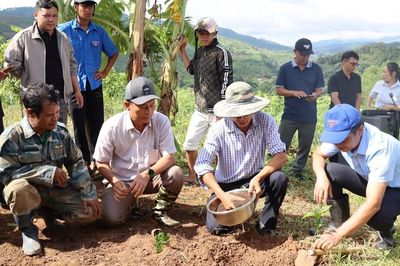 Từ 'Đại hội không hoa' đến khát vọng xây dựng thương hiệu cà phê đặc sản Tu Mơ Rông