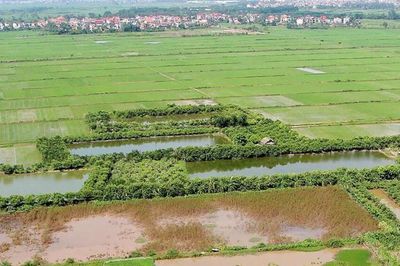 Điều kiện, thủ tục, tiền sử dụng đất khi chuyển đất ruộng thành đất ở