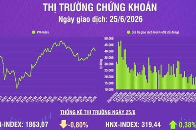 [Infographic] Chứng khoán ngày 25/6: Thị trường chịu áp lực điều chỉnh sau 3 phiên tăng điểm liên tiếp