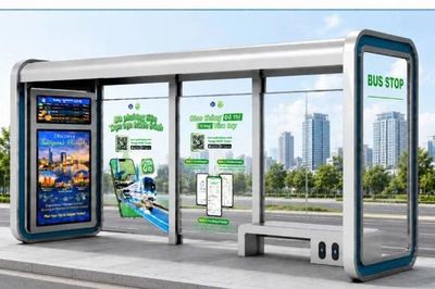 Nâng chất lượng dịch vụ, sẵn sàng miễn vé 134 tuyến xe buýt cho người dân Thành phố Hồ Chí Minh