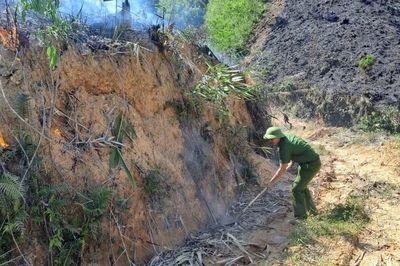 Xử phạt hành vi đốt thực bì 'chui' giữa cao điểm nắng nóng, suýt gây cháy rừng