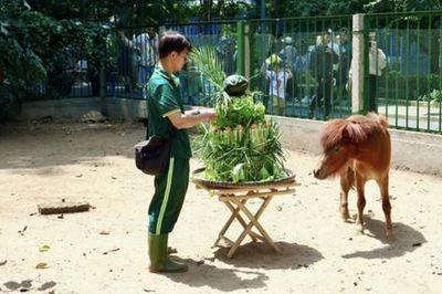 Nhiều người sẽ bất ngờ sau khuyến cáo của Thảo Cầm Viên Sài Gòn