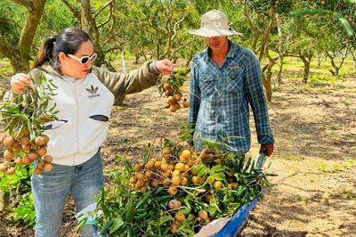 Đầu hè, du lịch vườn quê sôi động
