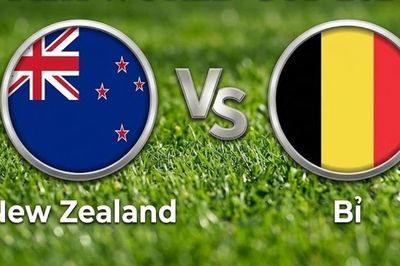 Nhận định, dự đoán trận đấu New Zealand vs Bỉ: Không còn đường lùi cho cả hai